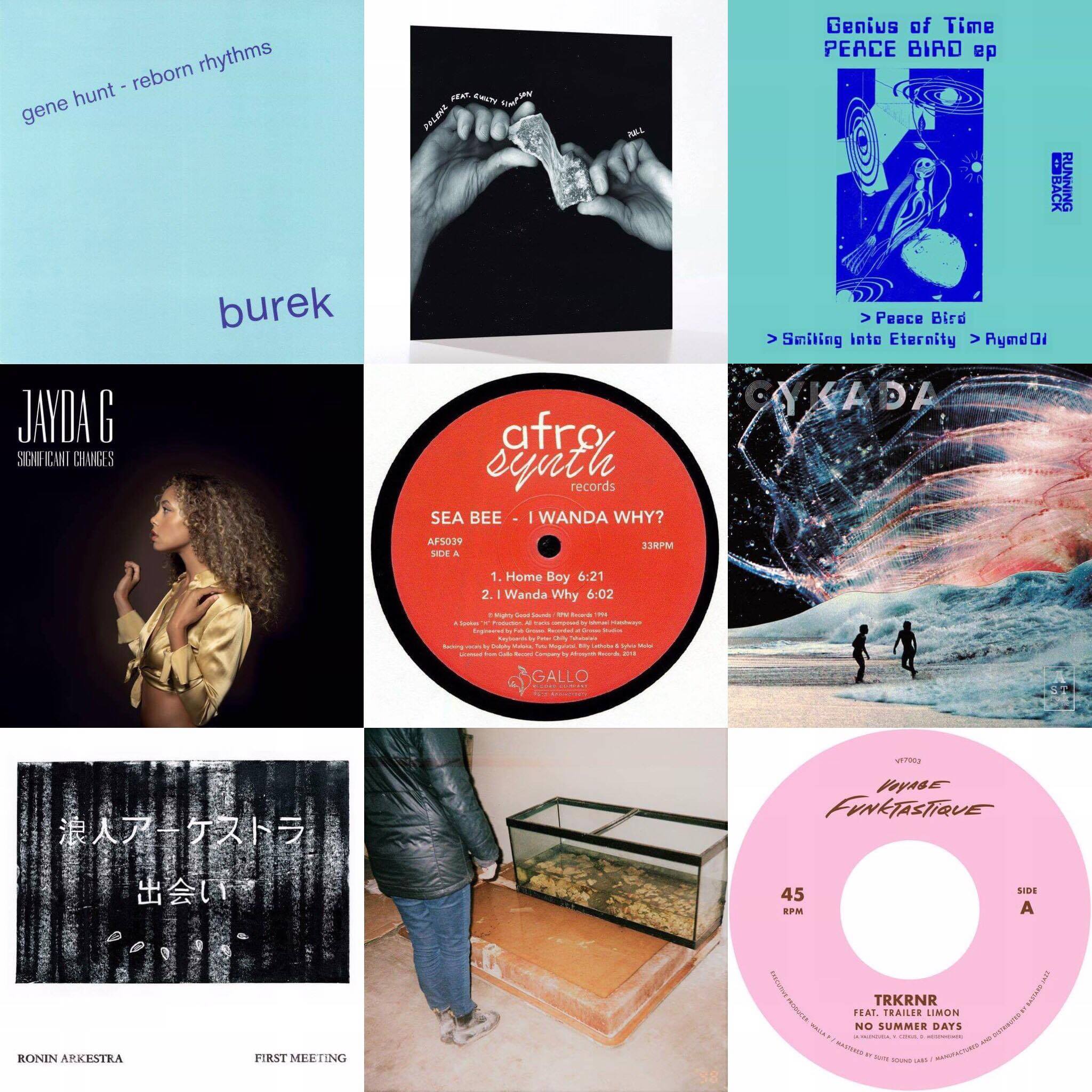 Crucial Material Best Releases Of The Week March 24th